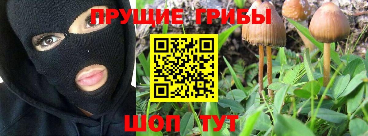 Псилоцибиновые грибы MAGIC MUSHROOMS  Вход с VPN  где купить наркоту  Курганинск 